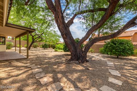 817 E Meadow Ln, Phoenix, AZ 85022 photo 25