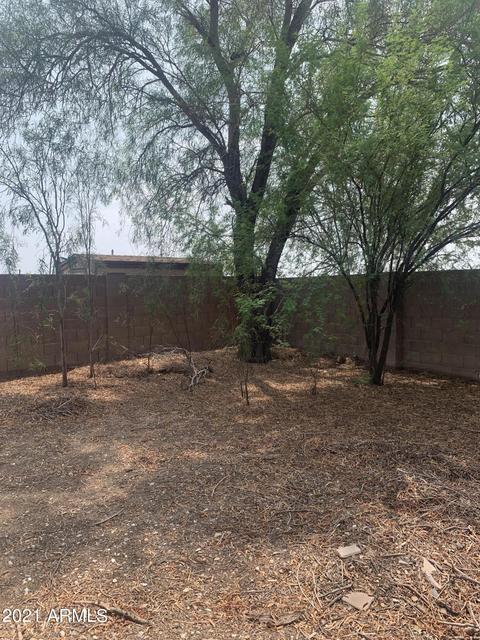 983 E Greenlee Ave, Apache Junction, AZ 85119 photo 31