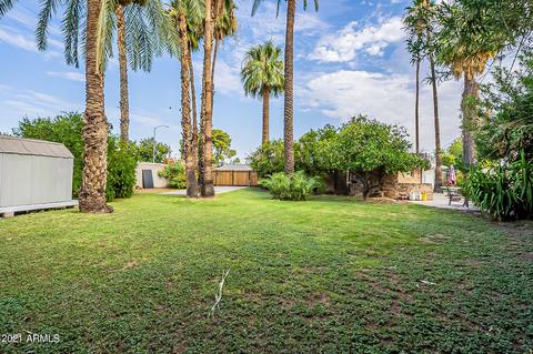 749 E Park Pl, Mesa, AZ 85203 photo 28