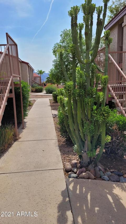 1440 N Idaho Rd #1044, Apache Junction, AZ 85119 photo 3