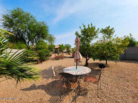 809 E Potter Dr, Phoenix, AZ 85024 photo 21