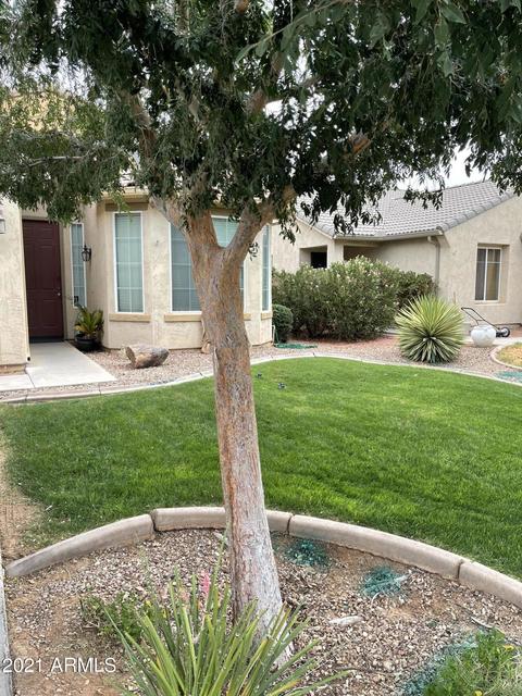 10486 E Wallflower Ln, Florence, AZ 85132 photo 1