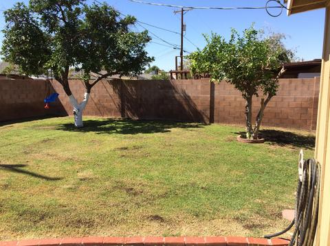 2507 W Freeway Ln, Phoenix, AZ 85021 photo 21