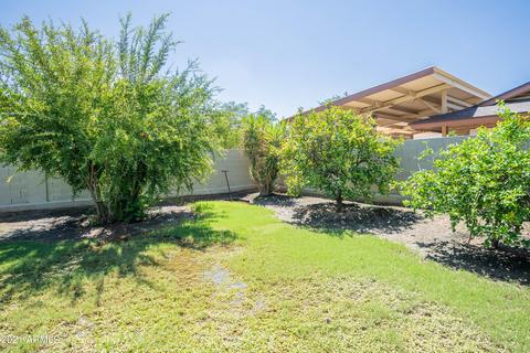 33 E Palo Verde St, Gilbert, AZ 85296 photo 36
