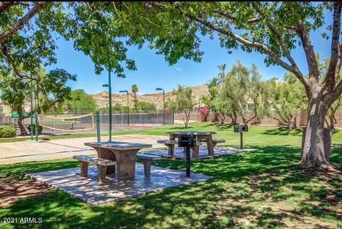 3911 E Desert Flower Ln, Phoenix, AZ 85044 photo 15