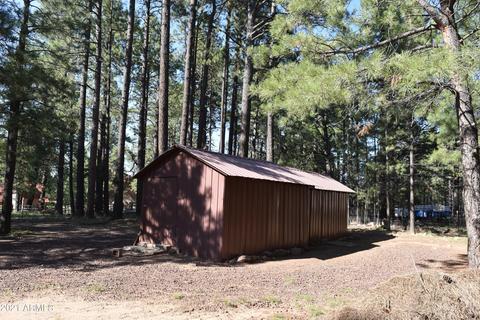 3173 Larson Loop, Forest Lakes, AZ 85931 photo 18