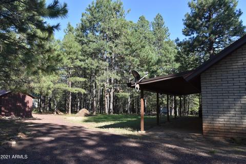 3173 Larson Loop, Forest Lakes, AZ 85931 photo 33