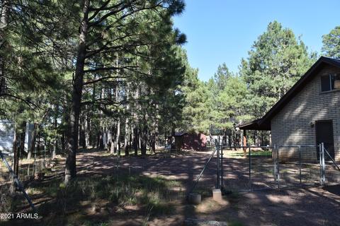 3173 Larson Loop, Forest Lakes, AZ 85931 photo 32