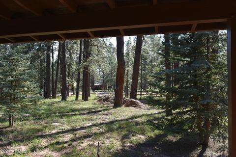 3173 Larson Loop, Forest Lakes, AZ 85931 photo 21