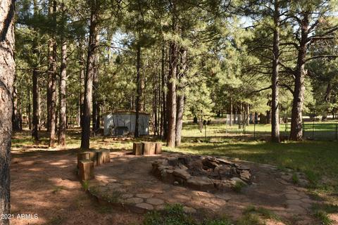 3173 Larson Loop, Forest Lakes, AZ 85931 photo 36