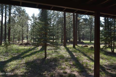 3173 Larson Loop, Forest Lakes, AZ 85931 photo 22