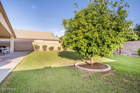 9519 E Olla Cir, Mesa, AZ 85212 photo 36