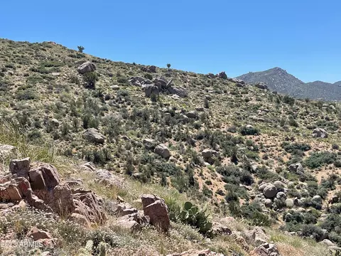 160 Acres Pack Mule Rd #-, Wikieup, AZ 85360