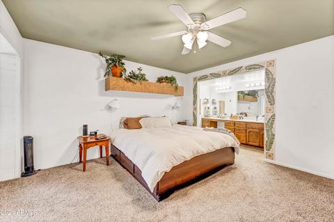 910 E 10th Pl, Mesa, AZ 85203 photo 23