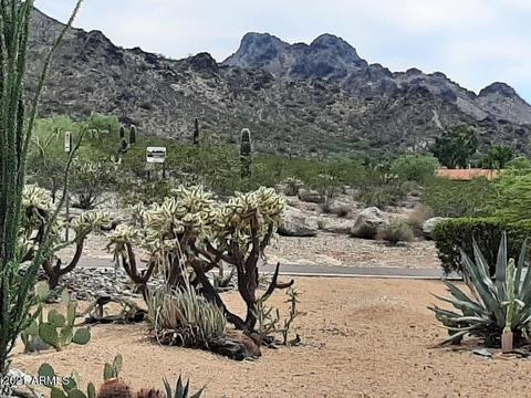 3540 E Hatcher Rd, Phoenix, AZ 85028 photo 18