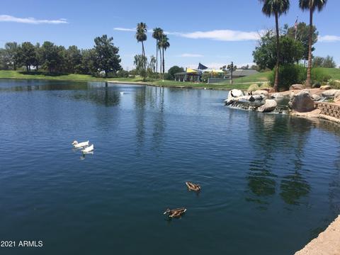526 N Granite St, Gilbert, AZ 85234 photo 31