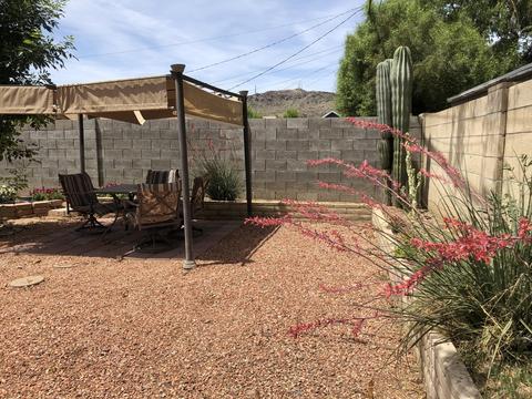 1318 E Mescal St, Phoenix, AZ 85020 photo 23