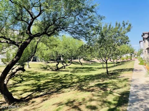 2216 E Hidalgo Ave, Phoenix, AZ 85040 photo 46