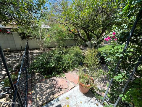 6207 N 13th Pl, Phoenix, AZ 85014 photo 7