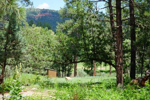 1075 E Ranch Rd, Payson, AZ 85541 photo 44