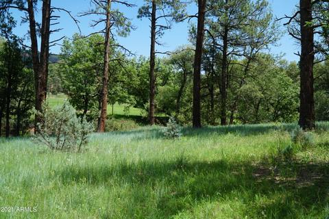 1075 E Ranch Rd, Payson, AZ 85541 photo 43