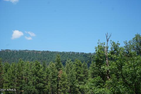 1075 E Ranch Rd, Payson, AZ 85541 photo 42