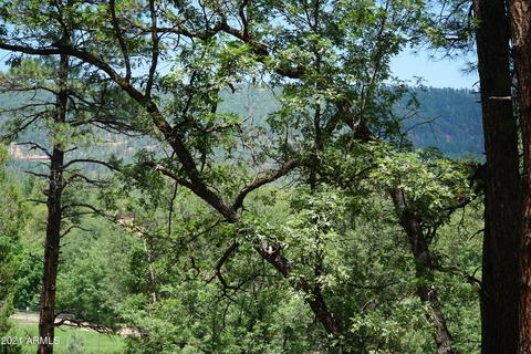 1075 E Ranch Rd, Payson, AZ 85541 photo 46