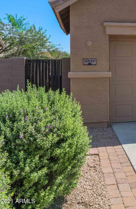 11539 E Sylvan Ave, Mesa, AZ 85212 photo 3