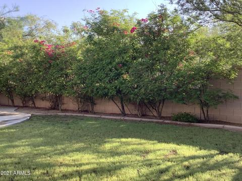 3954 E Daley Ln, Phoenix, AZ 85050 photo 10