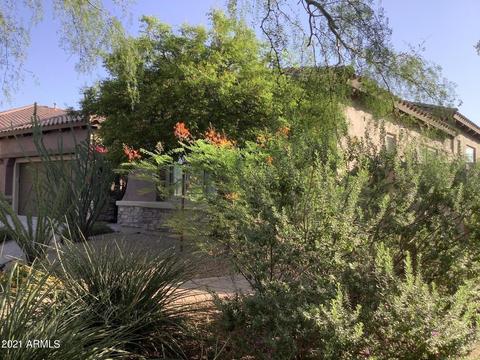 3954 E Daley Ln, Phoenix, AZ 85050 photo 54