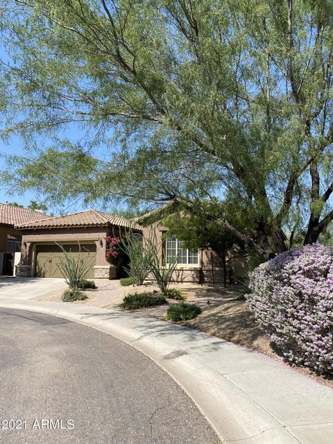 3954 E Daley Ln, Phoenix, AZ 85050 photo 67