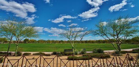 3954 E Daley Ln, Phoenix, AZ 85050 photo 8