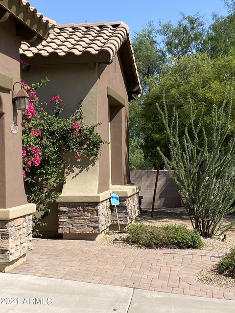 3954 E Daley Ln, Phoenix, AZ 85050 photo 64