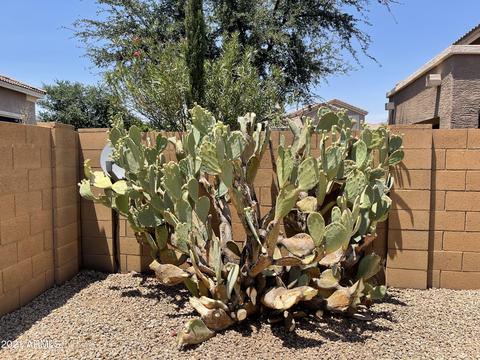 9305 E Lompoc Ave, Mesa, AZ 85209 photo 18