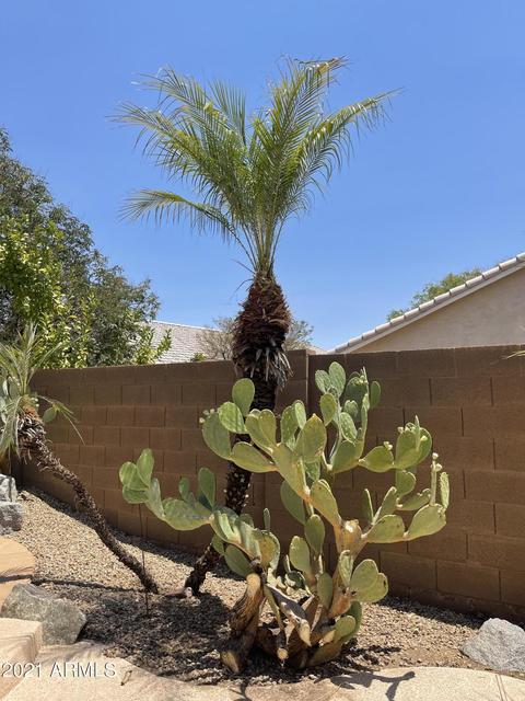 9305 E Lompoc Ave, Mesa, AZ 85209 photo 17