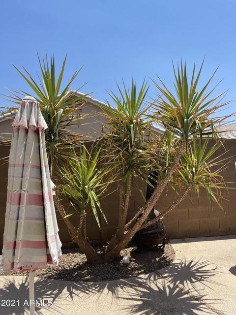 9305 E Lompoc Ave, Mesa, AZ 85209 photo 14