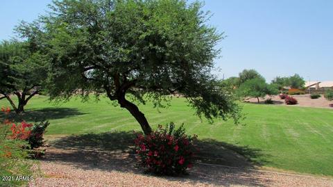 4446 E Desert Wind Dr, Phoenix, AZ 85044 photo 28