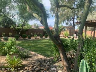 2649 E Libby St, Phoenix, AZ 85032 photo 21