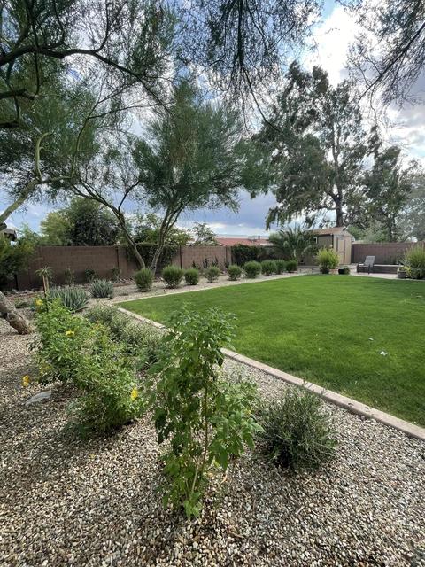 2649 E Libby St, Phoenix, AZ 85032 photo 19