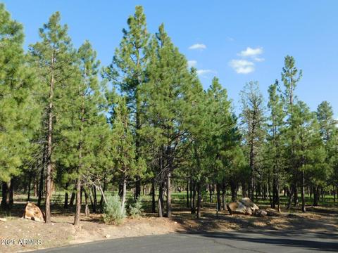 1275 Sunrise Pl #10, Happy Jack, AZ 86024