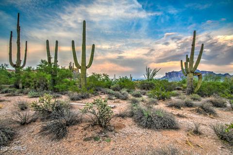1885 E Canyon St, Apache Junction, AZ 85119 photo 7