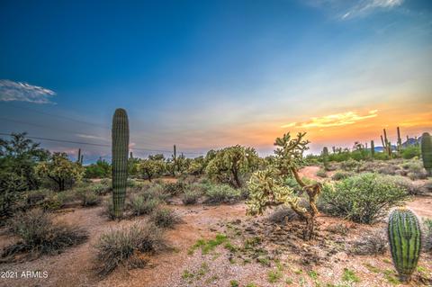 1885 E Canyon St, Apache Junction, AZ 85119 photo 11