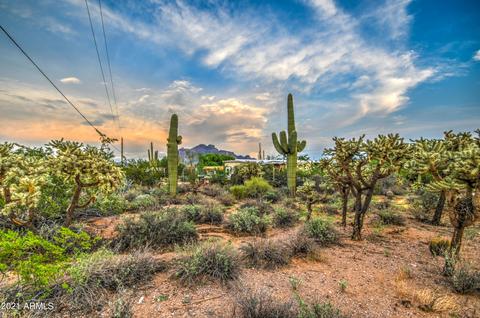 1885 E Canyon St, Apache Junction, AZ 85119 photo 4