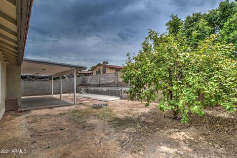 1447 E Carter Rd, Phoenix, AZ 85042 photo 30