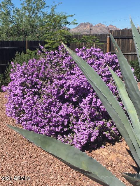 2533 E Tepee St, Apache Junction, AZ 85119 photo 6