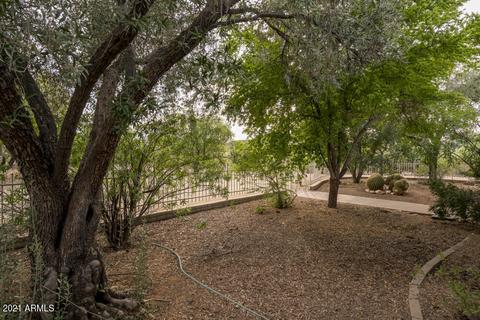 3848 E Cholla Ln, Phoenix, AZ 85028 photo 32