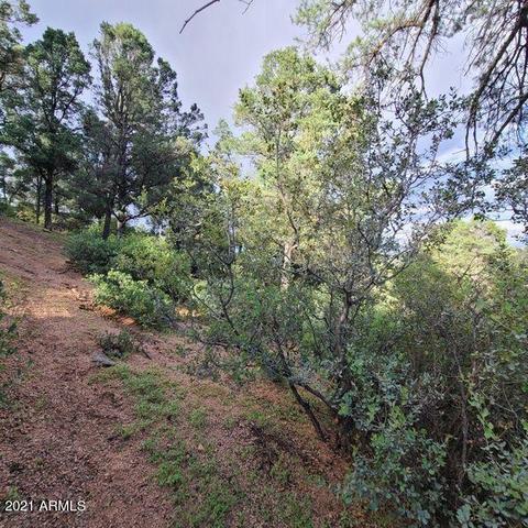 1904 E Rainbow Trl #97, Payson, AZ 85541 photo 4
