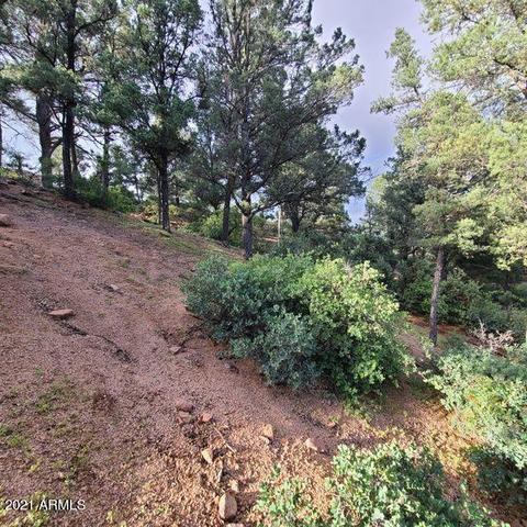 1904 E Rainbow Trl #97, Payson, AZ 85541 photo 6