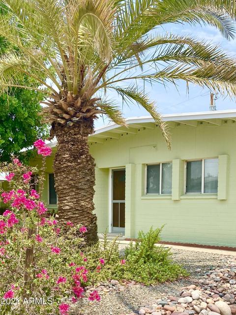3640 E Paradise Dr, Phoenix, AZ 85028 photo 3