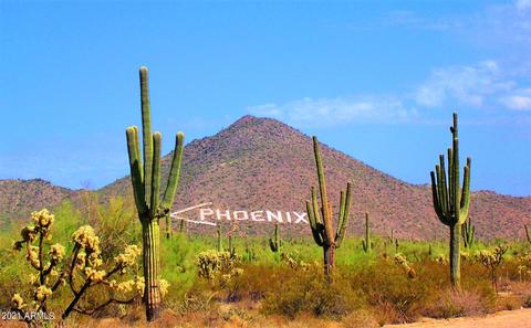2475 W Mcdowell Blvd, Apache Junction, AZ 85120 photo 47